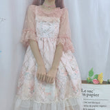 Gothic Lolita Harajuku Style Clothing Rose Girl Jsklolita Dress