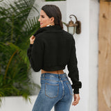 Women Sherpa Jacket Autumn and Winter Lamb Wool Short Coat Plush Pullover Sweater Top
