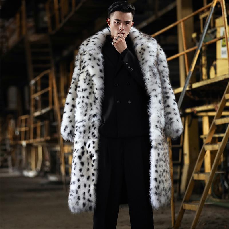 Dalmatian Coat