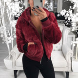 Women Sherpa Jacket Autumn and Winter Women's Hooded Rabbit Fur Imitation Fur Plush Coat for Women