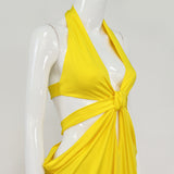 Autumn Women's Fashion Party Sexy V-neck Halter Backless Long Dress Women