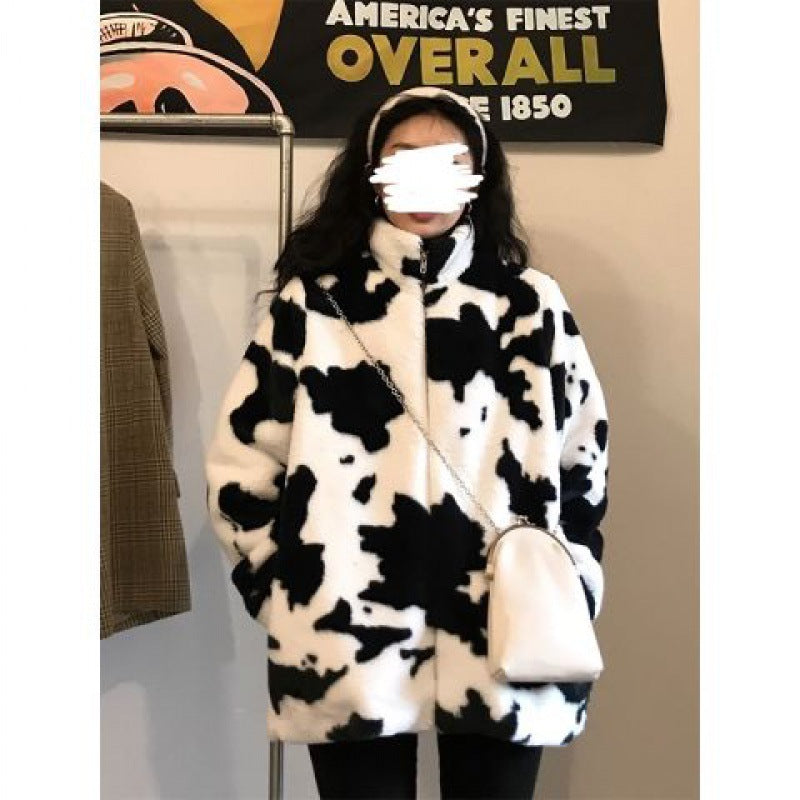 Dalmatian Coat