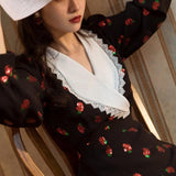 Vintage Strawberry Embroidered Sequins Dress Swing dress