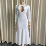 Mariah Carey See through Dress plus Size High Waist Sexy Fishtail Dress
