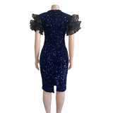 Mariah Carey See Through Dress Sequined Slim Dress