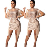 The Great Gatsby Dresses Women's Fashion Sexy Sequins Dress