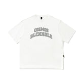 Men T Shitrs Letter Embroidered Crew Neck T-shirt