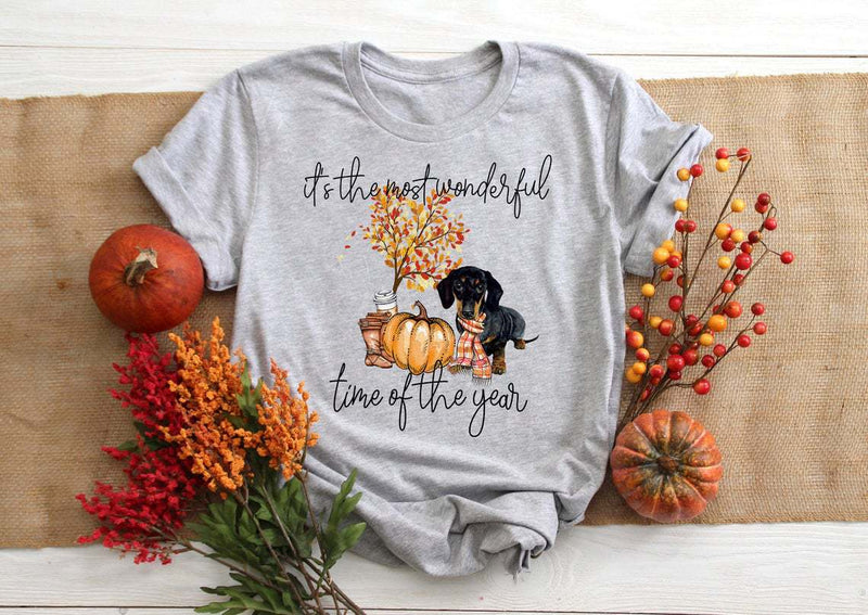 Halloween Costumes Halloween Dog Pumpkin Pumpkin Printed round Neck T-shirt for Women