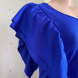 Mariah Carey See through Dress Solid Color Long Dress plus Size Dress Gown