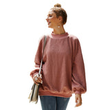 Women Sherpa Jacket Brushed Hoody Women's Autumn and Winter Pullover Long Sleeve Plush Teddy Plush Top