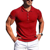Polo Shirts Men's Sports Summer Long-Sleeve Polo
