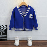 Toddler Boys Sweater Children's Sweater College Style