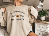 Halloween Costumes Pumpkin Printed Crew Neck Sweatshirt Female