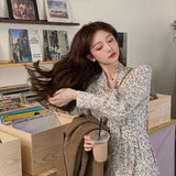 Work Dresses for Teachers Temperament V-neck Long Sleeve Floral Dress Women's Autumn and Winter Puff Sleeve