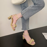Nude Pumps Block Heel Bowknot Chunky Heel Sandals