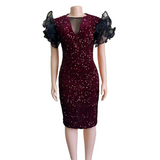 Mariah Carey See Through Dress Sequined Slim Dress